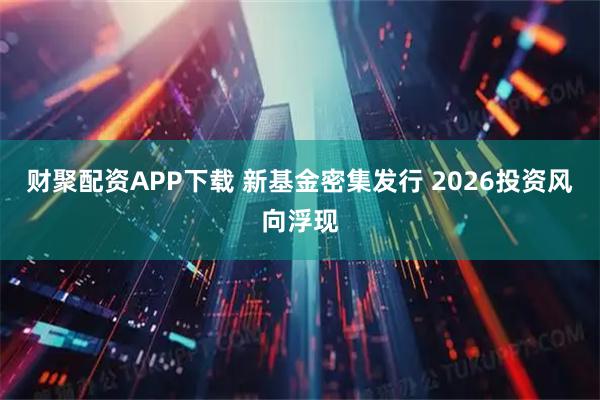 财聚配资APP下载 新基金密集发行 2026投资风向浮现